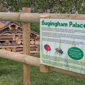 Bugingham Palace for West Dorset Leisure Holidays