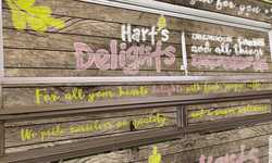 Hart's Delights Logo Design Hart's Delights Logo Design