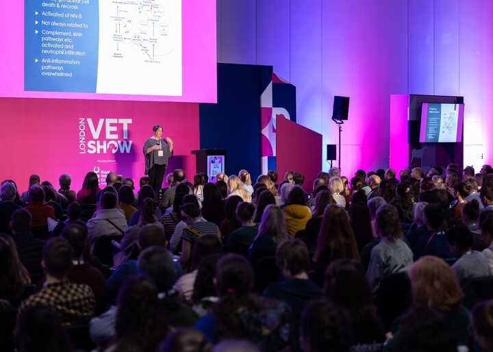 The London Vet Show Facebook Page - Photo Credit: The London Vet Show Facebook Page