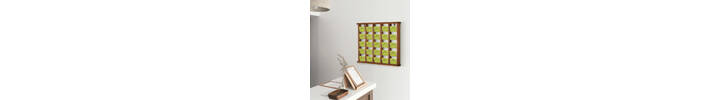 Display cards or leaflets with a wooden wall mounted leaflet rack.png