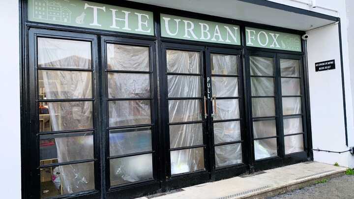 Full-Colour Blockout Window Graphics for The Urban Fox in Lyme Regis