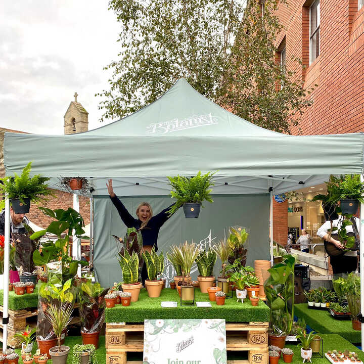 Market Stall Displays