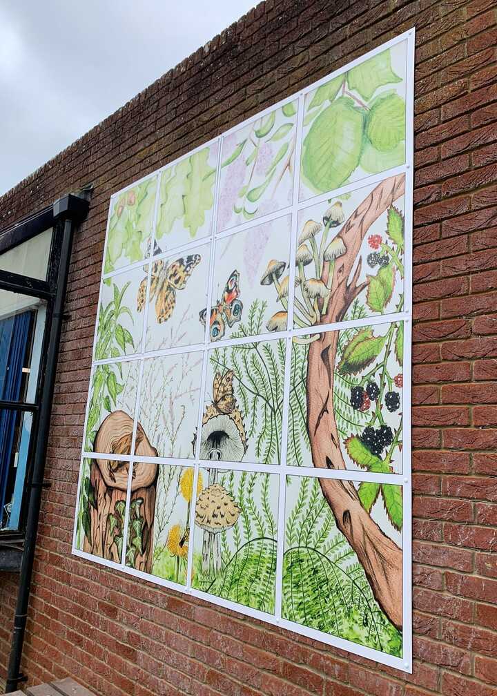 External ACM Artwork Prints for School - Woodland scene window