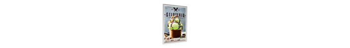 Printed Backlit Poster Film - Ice Cream.jpg