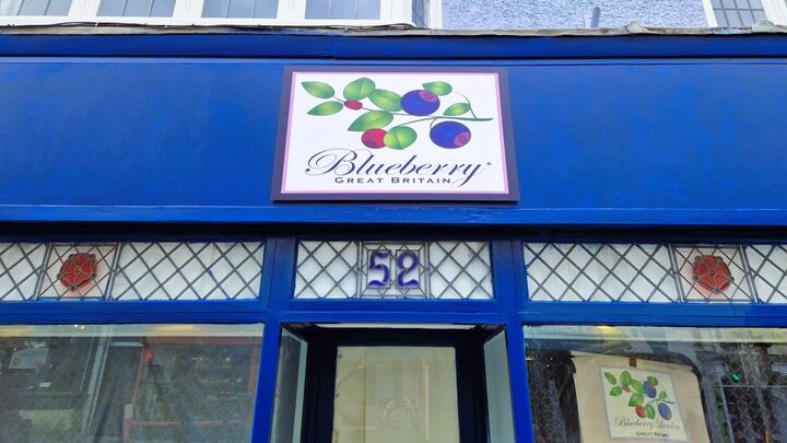 Shop Fascia Panel Display for Blueberry London.jpg