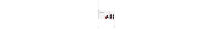 Triple A4 Acrylic Poster Holder for rod and cable displays.png