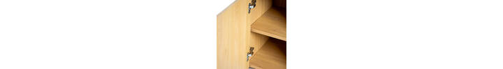 WF121-SECURE-LECTRN-OAK-OPEN.jpg